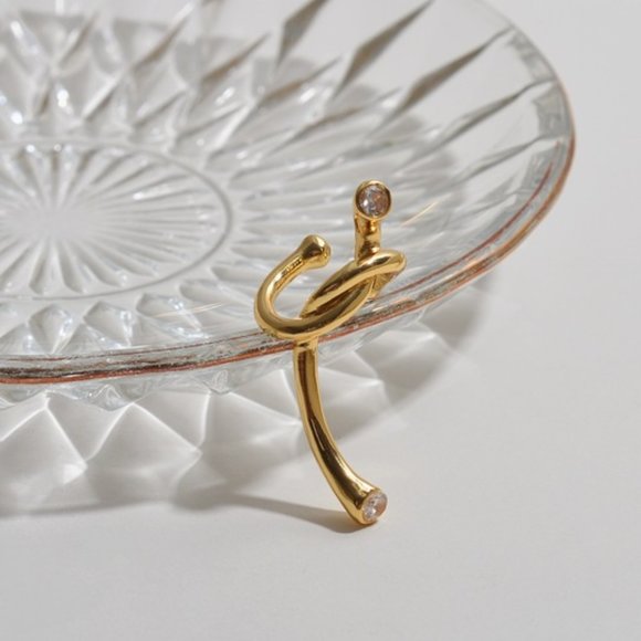 Niche Twisted Rope Knotted Zircon Earring ZB1104322 - Picture 3 of 4